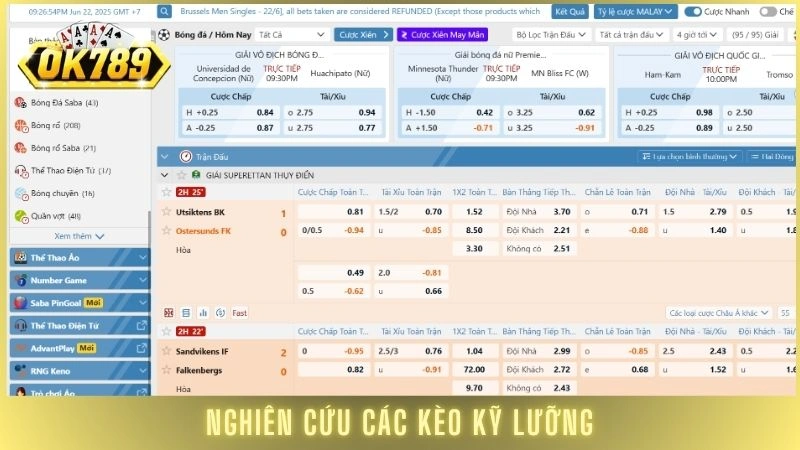 Bí kíp cá độ bóng đá không thua từ chuyên gia Ok789 hàng đầu 2 Nghiên cứu các kèo kỹ lưỡng là cách cá độ bóng đá không thua
