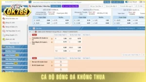 cá độ bóng đá không