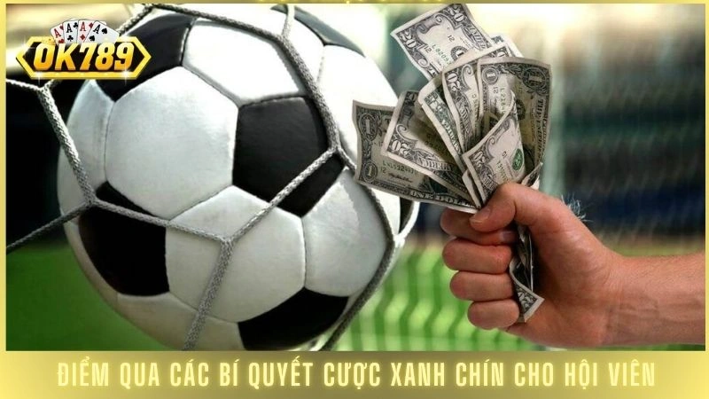 Hướng dẫn cá cược bóng đá Ok789 cho người mới từ A-Z 3 Điểm qua các bí quyết cược xanh chín cho hội viên