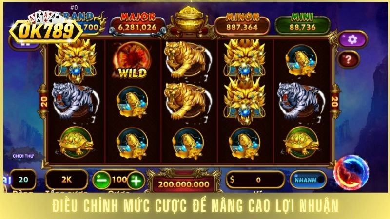Điều chỉnh mức cược để nâng cao lợi nhuận