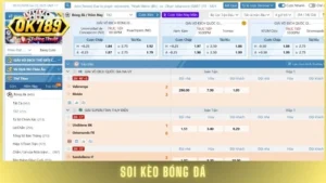 Soi kèo bóng đá